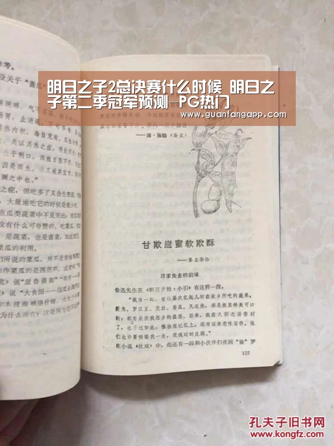 明日之子2总决赛什么时候 明日之子第二季冠军预测-PG热门