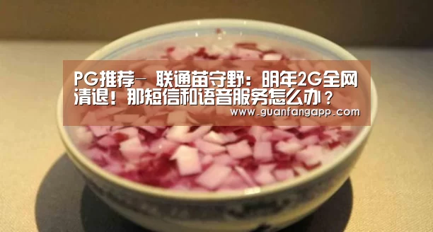 PG推荐-
联通苗守野:明年2G全网清退!那短信和语音服务怎么办?(图2) PG官方