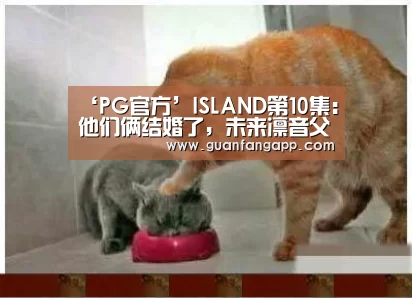 ‘PG官方’ISLAND第10集：他们俩结婚了，未来凛音父亲